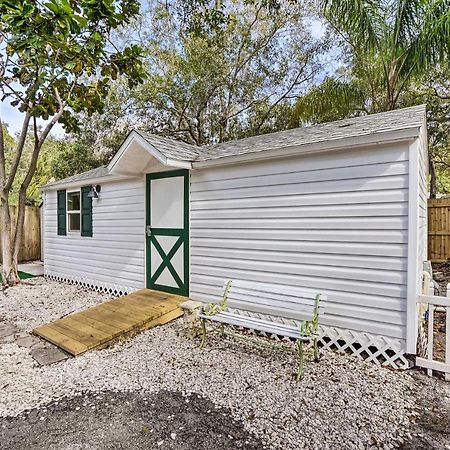 Tropical Palm Harbor Studio Walk To Gulf! Exteriör bild